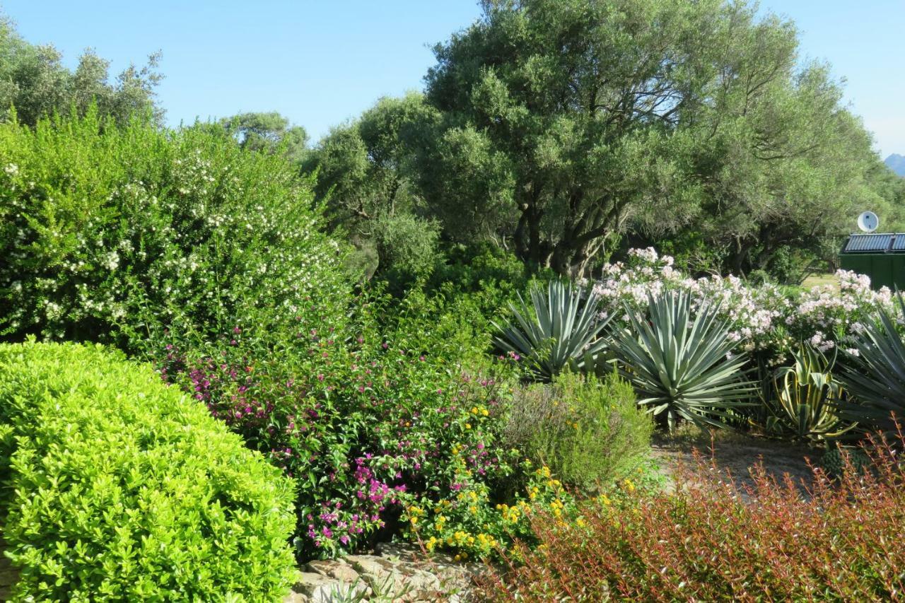 Spartaco Eco Retreat San Pantaleo Sole Ruiu Buitenkant foto